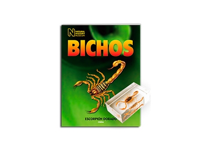 Colección Bichos 1 Colección Bichos 1