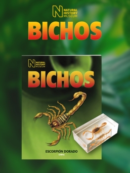 BICHOS 2024 Nº 053