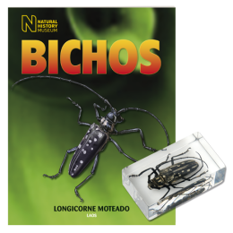 BICHOS 2024 Nº 050