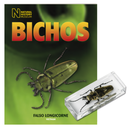 BICHOS 2024 Nº 052