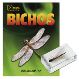 BICHOS 2024 Nº 054
