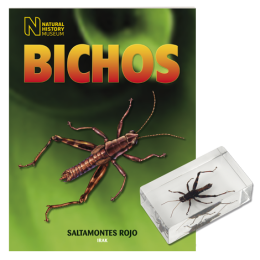 BICHOS 2024 Nº 055
