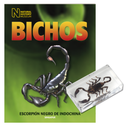 BICHOS 2024 Nº 057
