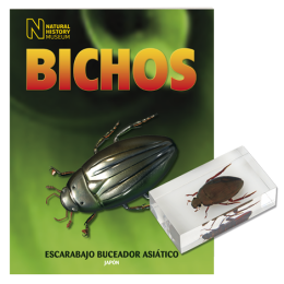 BICHOS 2024 Nº 058