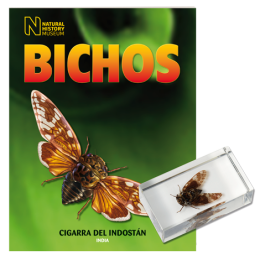 BICHOS 2024 Nº 059
