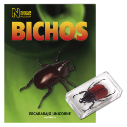 BICHOS 2024 Nº 060