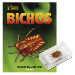 BICHOS 2024 Nº 061