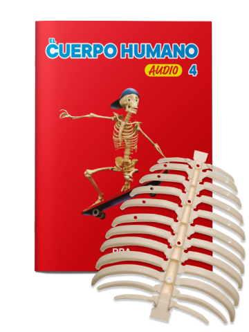 EL CUERPO HUMANO 2024 Nº 004