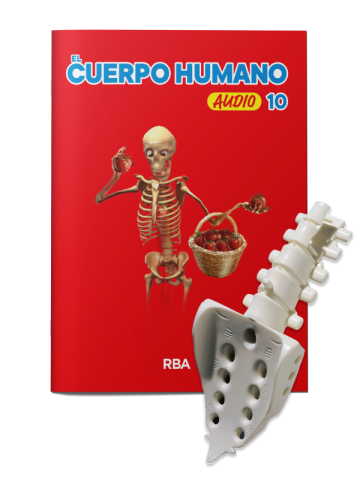 EL CUERPO HUMANO 2024 Nº 010